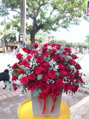 Shop Hoa Tươi Thị trấn Cầu Quan, Tiểu Cần, Trà Vinh