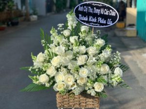 Shop Hoa Tươi Thị trấn Mỹ Long, Cầu Ngang, Trà Vinh