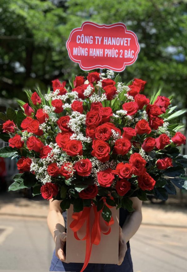 Shop hoa tươi thị trấn Định An, Trà Cú, Trà Vinh